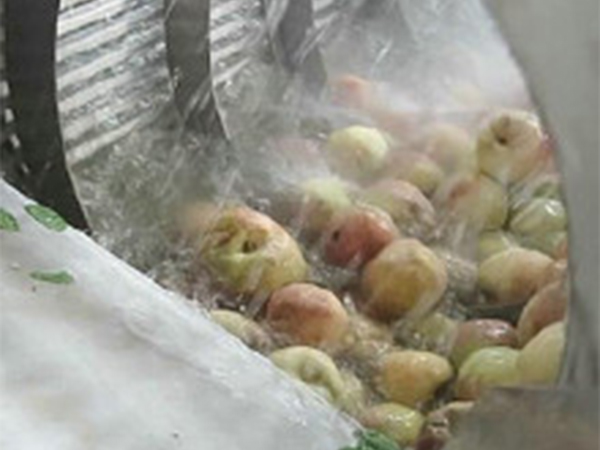 高壓氣泡清洗機(jī)(玉米類(lèi)、果蔬類(lèi)）